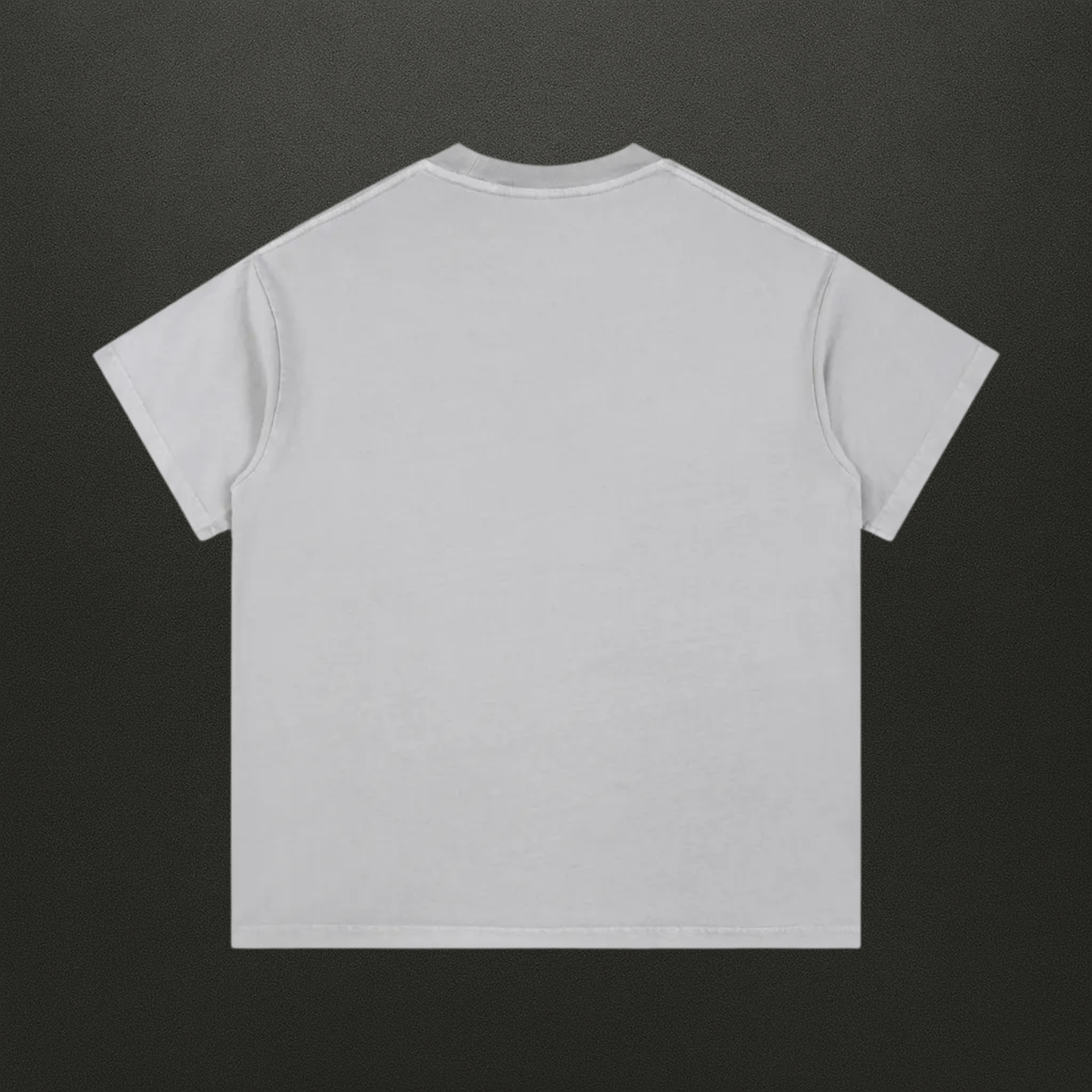 The World is your Oyster Vintage Wash Tee